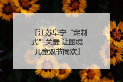 江苏阜宁“定制式”关爱 让困境儿童双节同欢