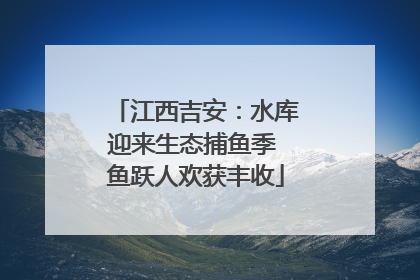 江西吉安：水库迎来生态捕鱼季 鱼跃人欢获丰收