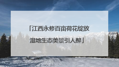江西永修百亩荷花绽放 湿地生态美景引人醉