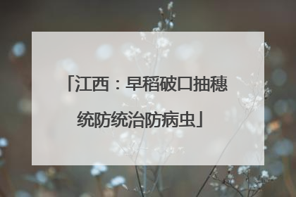 江西：早稻破口抽穗 统防统治防病虫