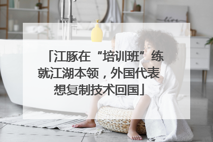 江豚在“培训班”练就江湖本领，外国代表想复制技术回国
