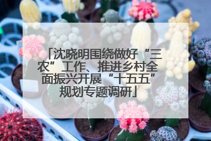 沈晓明围绕做好“三农”工作、推进乡村全面振兴开展“十五五”规划专题调研