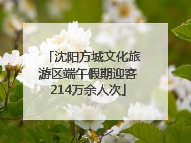 沈阳方城文化旅游区端午假期迎客214万余人次