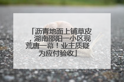 沥青地面上铺草皮，湖南邵阳一小区现荒唐一幕！业主质疑为应付验收