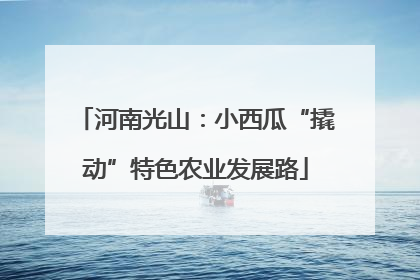 河南光山：小西瓜“撬动”特色农业发展路