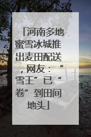 河南多地蜜雪冰城推出麦田配送，网友：“雪王”已“卷”到田间地头