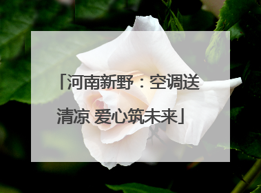 河南新野：空调送清凉 爱心筑未来