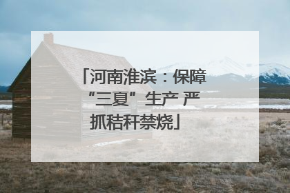 河南淮滨：保障“三夏”生产 严抓秸秆禁烧