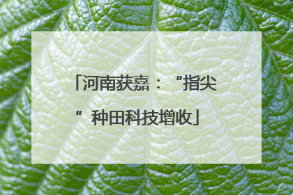河南获嘉：“指尖”种田科技增收