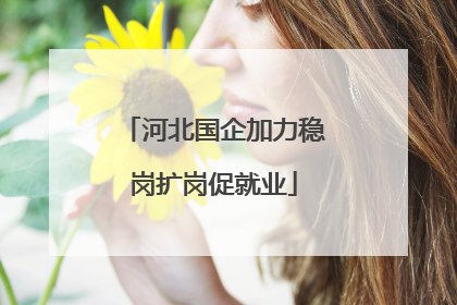河北国企加力稳岗扩岗促就业