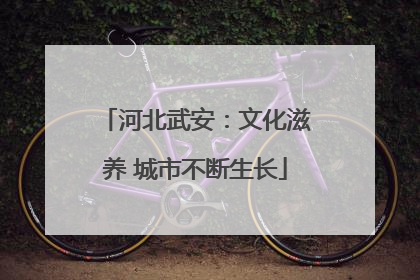 河北武安：文化滋养 城市不断生长