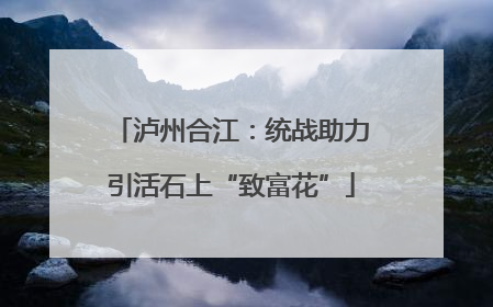 泸州合江：统战助力引活石上“致富花”