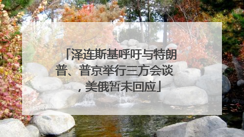 泽连斯基呼吁与特朗普、普京举行三方会谈，美俄暂未回应
