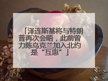 泽连斯基将与特朗普再次会晤，此前曾力陈乌克兰加入北约是“互惠”