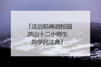 法治精神润校园 洪山十二小师生共学民法典