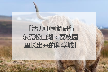 活力中国调研行丨东莞松山湖：荔枝园里长出来的科学城