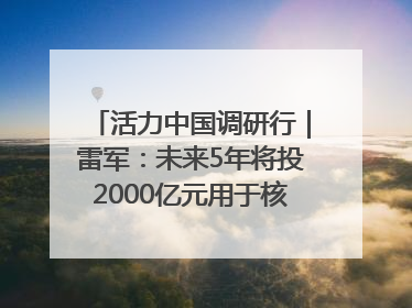 活力中国调研行｜雷军：未来5年将投2000亿元用于核心技术研发