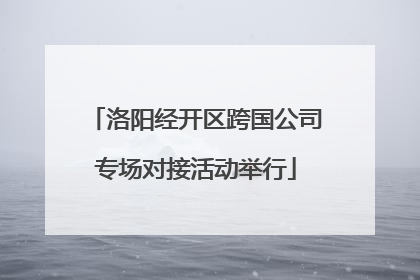 洛阳经开区跨国公司专场对接活动举行