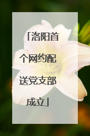 洛阳首个网约配送党支部成立