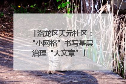 洛龙区天元社区：“小网格”书写基层治理“大文章”