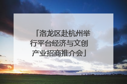 洛龙区赴杭州举行平台经济与文创产业招商推介会