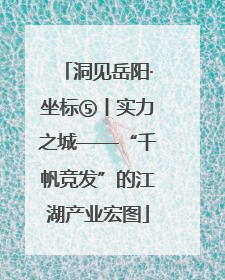 洞见岳阳·坐标⑤丨实力之城——“千帆竞发”的江湖产业宏图