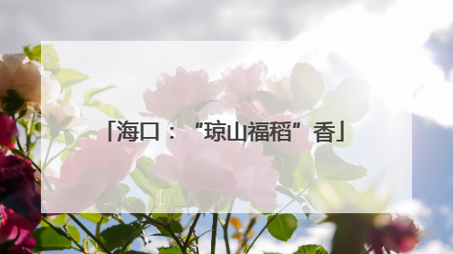 海口：“琼山福稻”香