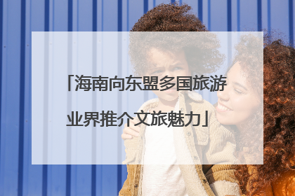海南向东盟多国旅游业界推介文旅魅力