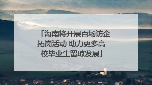 海南将开展百场访企拓岗活动 助力更多高校毕业生留琼发展