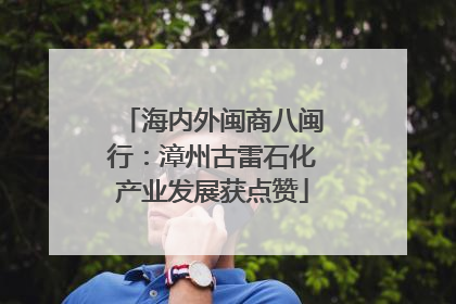 海内外闽商八闽行：漳州古雷石化产业发展获点赞