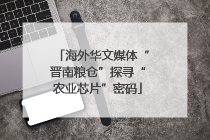 海外华文媒体“晋南粮仓”探寻“农业芯片”密码