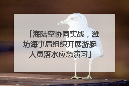 海陆空协同实战，潍坊海事局组织开展游艇人员落水应急演习
