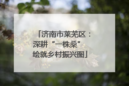 济南市莱芜区：深耕“一株桑” 绘就乡村振兴图
