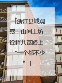 浙江县域观察：山间工坊诠释共富路上“一个都不少”