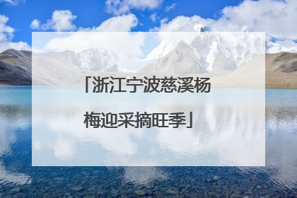 浙江宁波慈溪杨梅迎采摘旺季