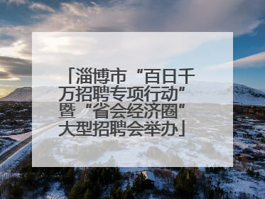 淄博市“百日千万招聘专项行动”暨“省会经济圈”大型招聘会举办
