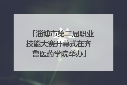 淄博市第二届职业技能大赛开幕式在齐鲁医药学院举办