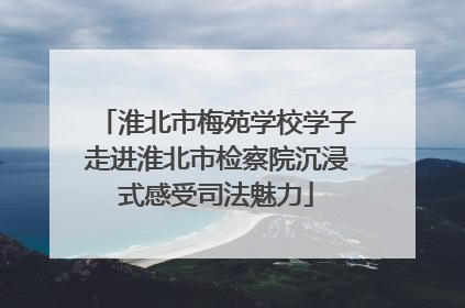淮北市梅苑学校学子走进淮北市检察院沉浸式感受司法魅力