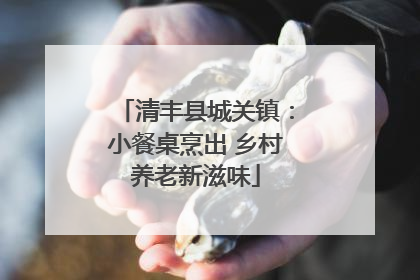 清丰县城关镇：小餐桌烹出 乡村养老新滋味