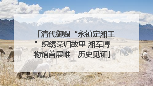 清代御赐“永镇定湘王”织绣荣归故里 湘军博物馆首展唯一历史见证