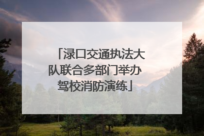 渌口交通执法大队联合多部门举办驾校消防演练
