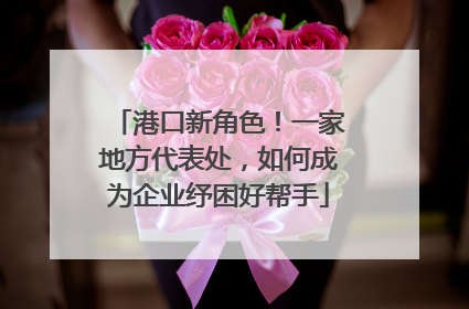 港口新角色！一家地方代表处，如何成为企业纾困好帮手