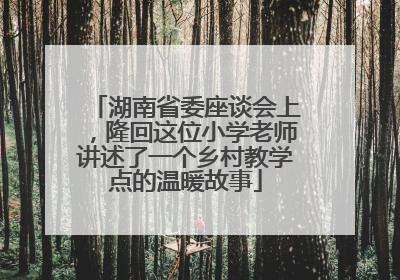 湖南省委座谈会上，隆回这位小学老师讲述了一个乡村教学点的温暖故事