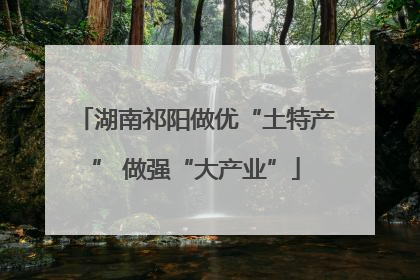 湖南祁阳做优“土特产” 做强“大产业”