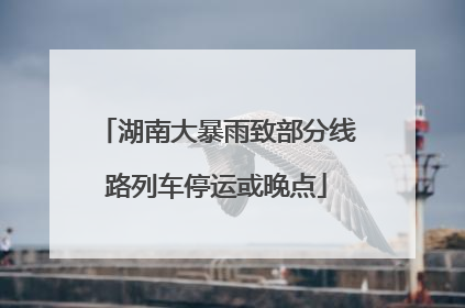 湖南大暴雨致部分线路列车停运或晚点