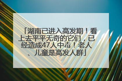 湖南已进入高发期！看上去平平无奇的它们，已经造成47人中毒！老人、儿童是高发人群