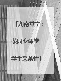 湖南常宁：茶园变课堂 学生采茶忙