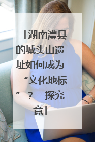 湖南澧县的城头山遗址如何成为“文化地标”？一探究竟