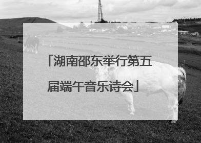 湖南邵东举行第五届端午音乐诗会