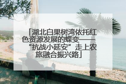 湖北白果树湾依托红色资源发展的蝶变——“抗战小延安”走上农旅融合振兴路